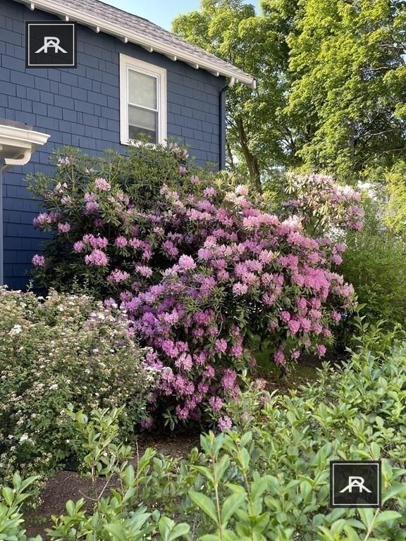 Building Photo - 4 bedroom in Brookline MA 02467