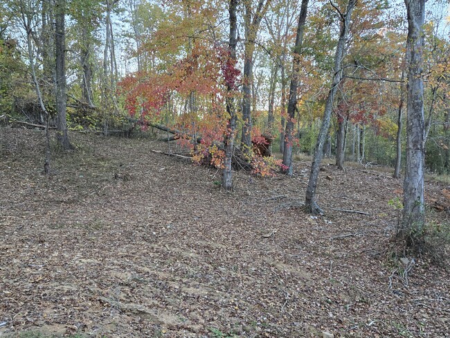 Wooded lot - 118 Gillis Rd