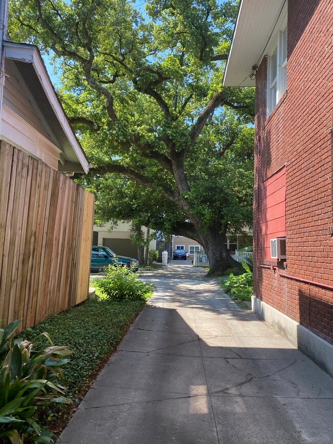 Driveway view from spiky fence - 812 Branard St