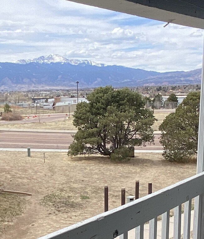 Building Photo - Newly renovated 2 bed/1 bath with views!