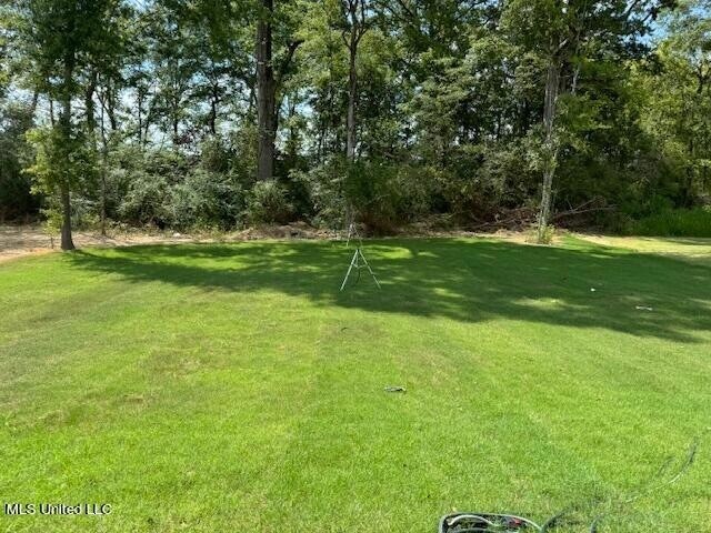 Building Photo - 416 Butternut Dr