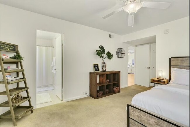 Building Photo - Sunrise Condo