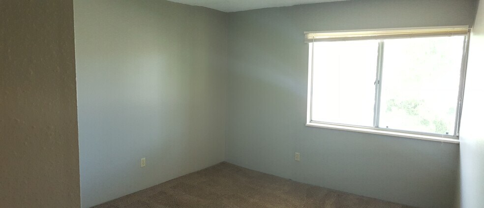 Building Photo - 5110 Williams Fork Trl