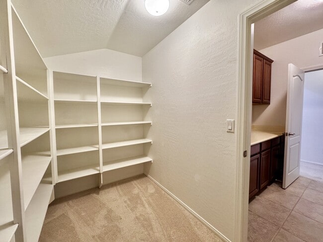 Building Photo - 10037 White Mulberry Dr