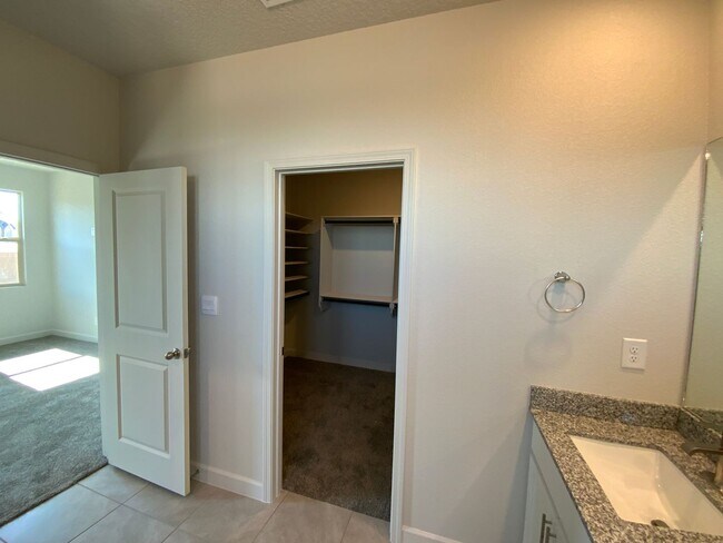 Building Photo - 3 Bedroom Single Story New Build in Lomas ...