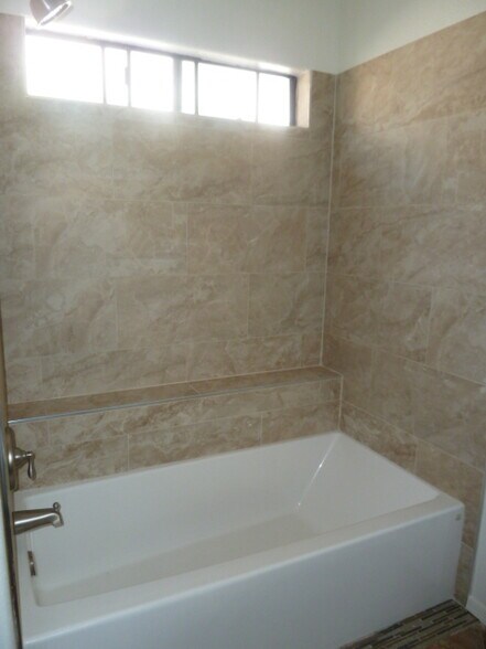 Master Shower - 1457 E Renee Dr