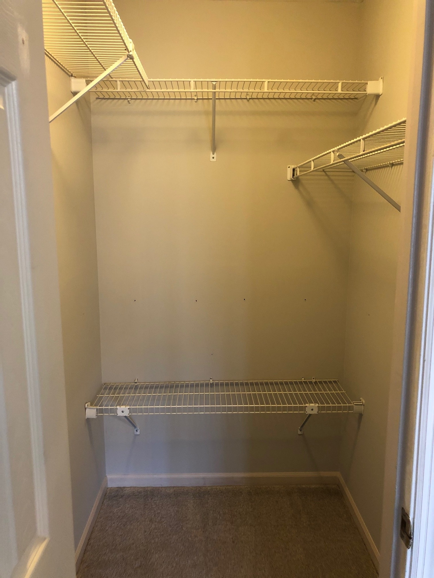 walk in closet - 1006 Markham Ct