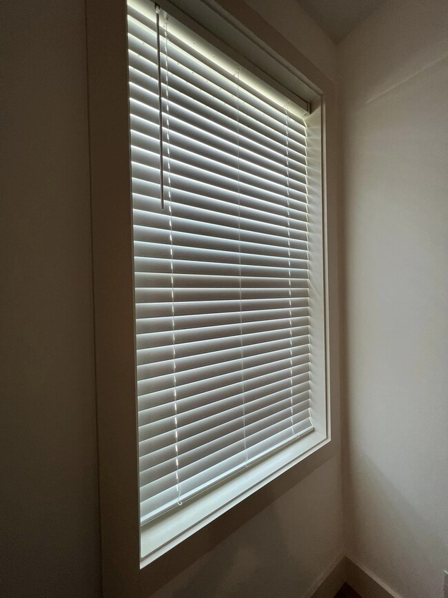 All windows installed with 2" cordless blinds - 114 Enchanted Way