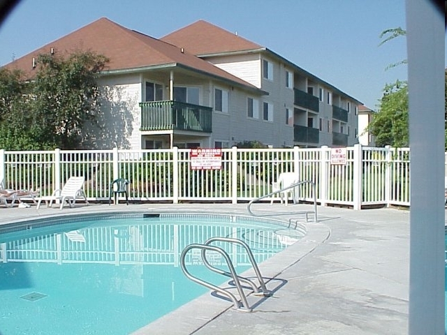 Pool - Signature Pointe of Bay Hill Springs