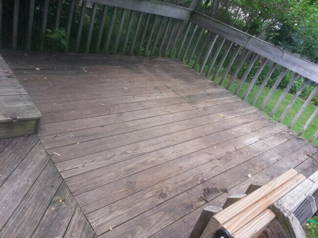 Building Photo - 1307 Belmar Pl