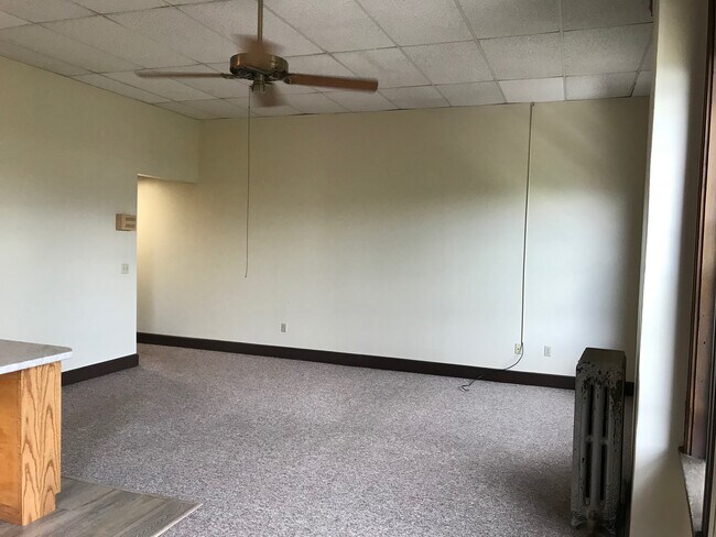 Building Photo - McShane Block