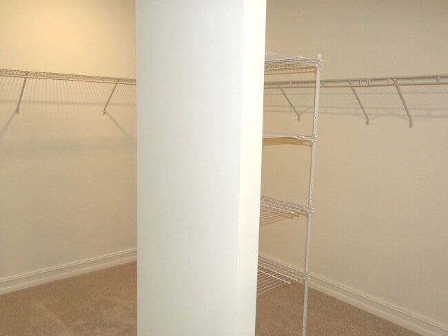 Building Photo - Brand new home in Zephyrhills