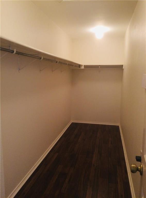 Building Photo - 826 Palitine Ln