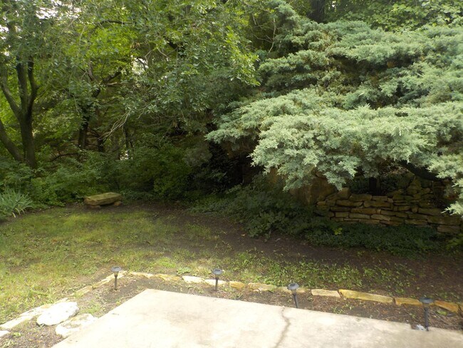 Yard view - 101 S Bunker Hill Dr