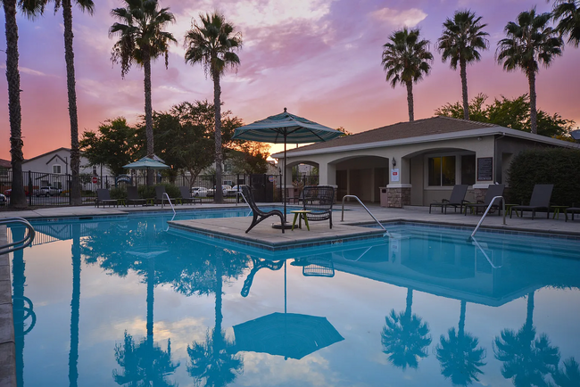 Pool and Gym - 2052 Boccioni Ln