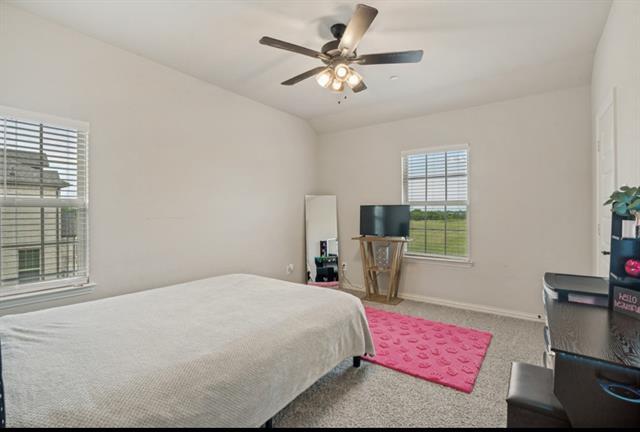 Building Photo - 3628 Chaucer Trl