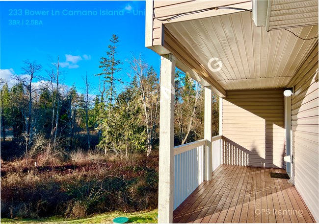 Building Photo - Sunny and Bright Territorial View Home