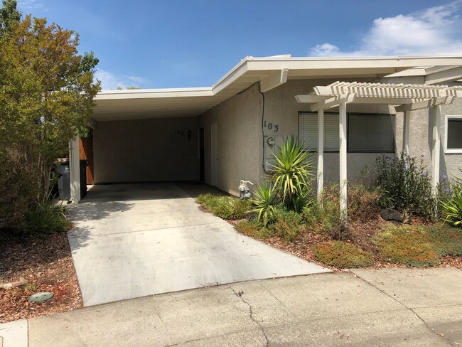 Primary Photo - BACK UP TO OPEN SPACE IN DESIRABLE NORTH D...