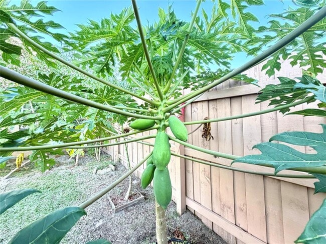 Building Photo - 411 Parson Brown Way