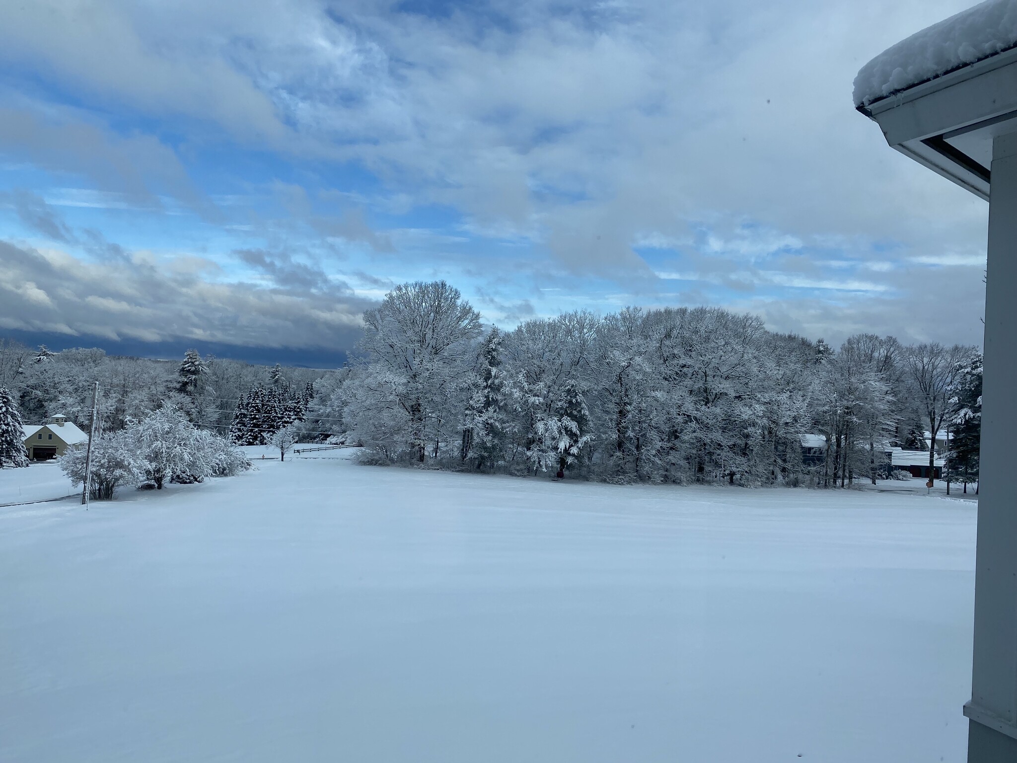 The view this morning/Monday, January 29 - 1 Overlook Dr