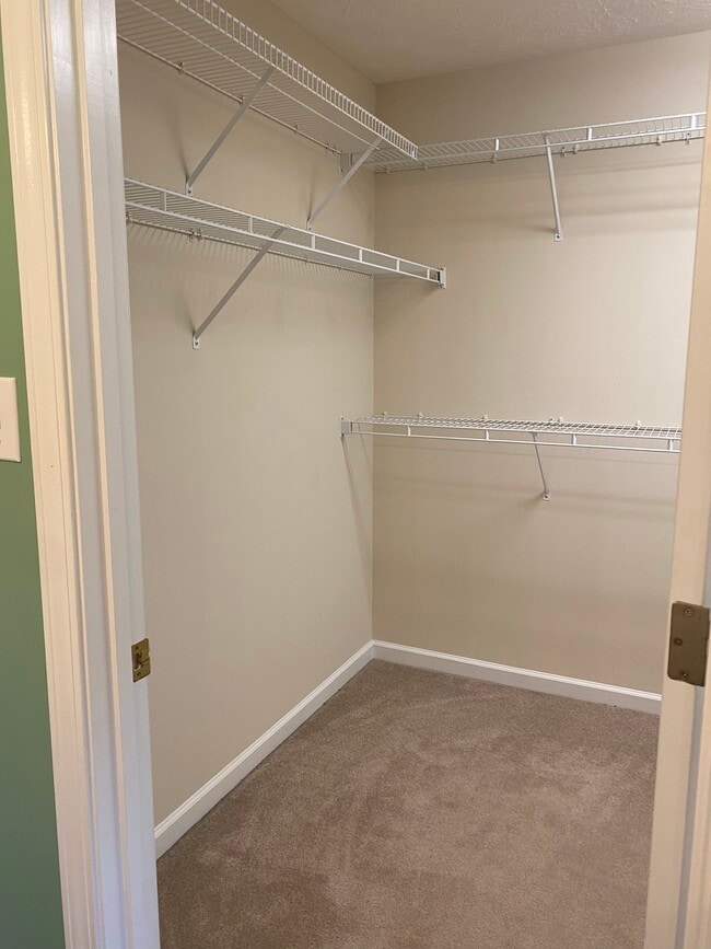 Building Photo - 8206 Gamblers Choice Trl