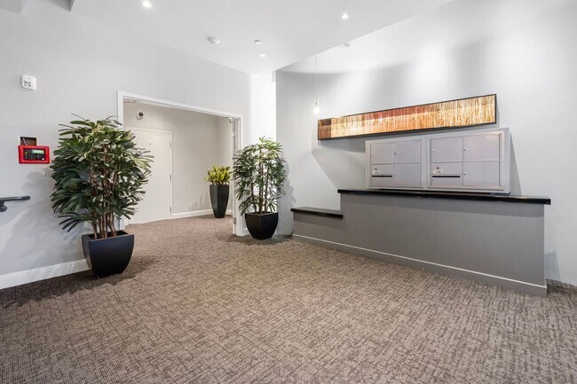 Building Photo - Large Updated SoMa Apartment!