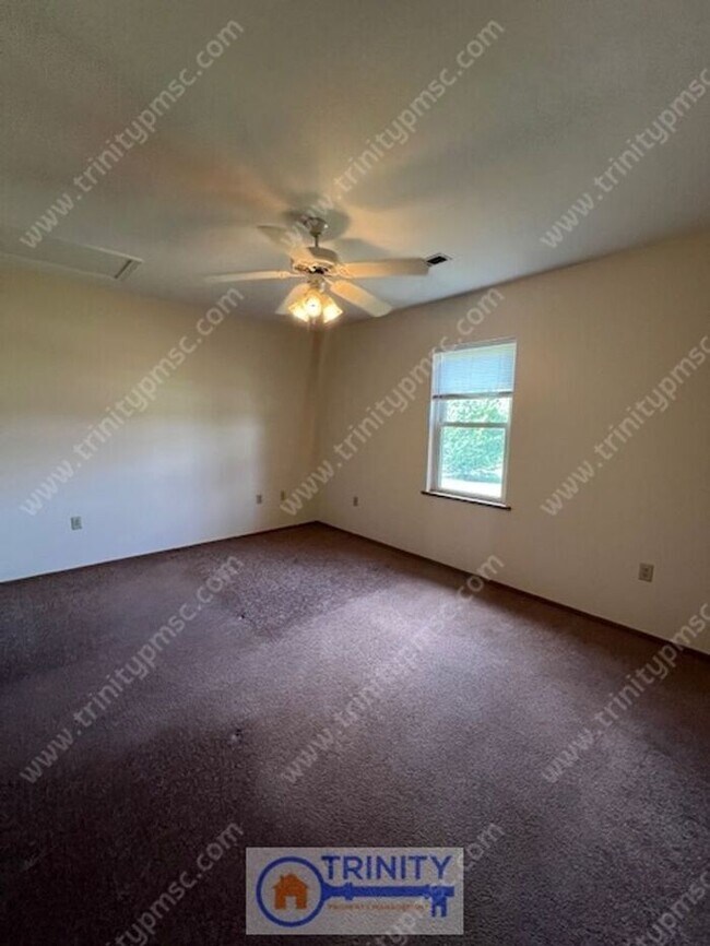 Building Photo - Cute and Available NOW!