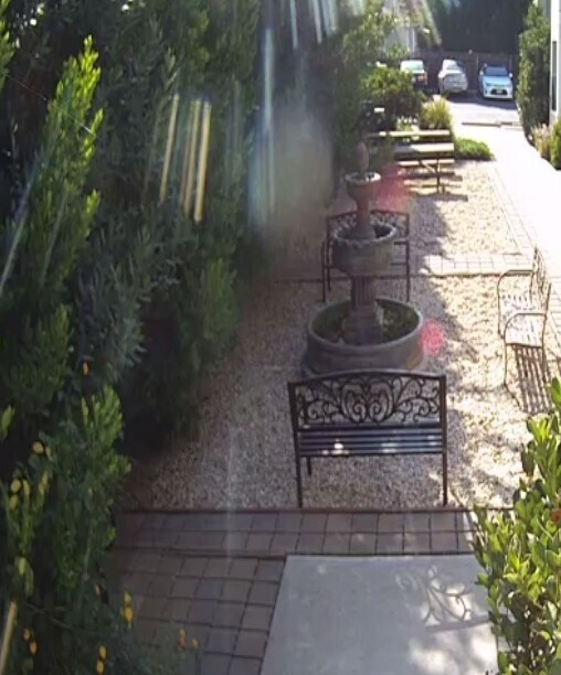 Lush Landscaping - 1524 F St