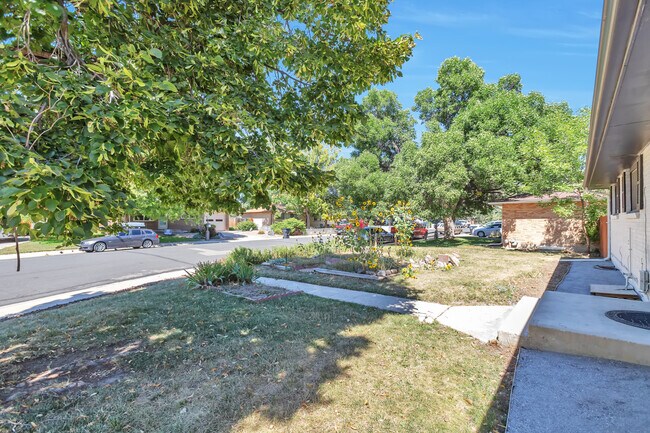 Front Yard w/ raised beds - 10 S Busch Ln