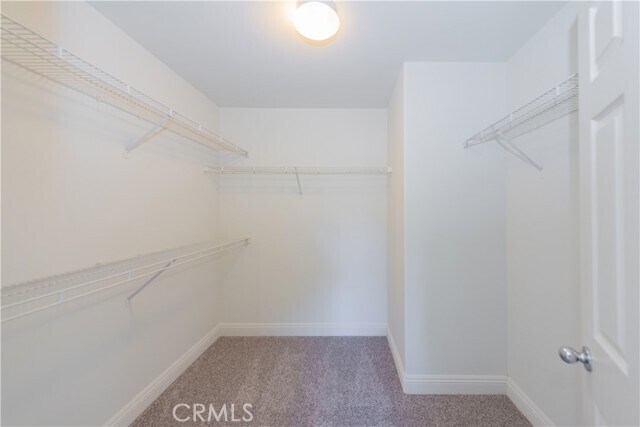 Building Photo - 50 Bluff Cove Dr