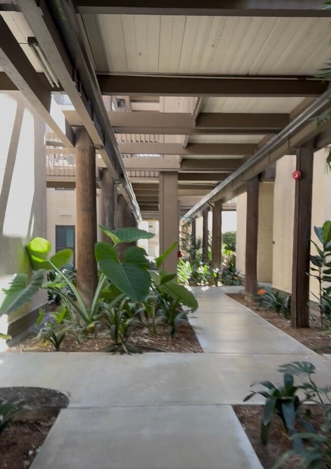 Building Photo - 7334 Marina Pacifica Dr N