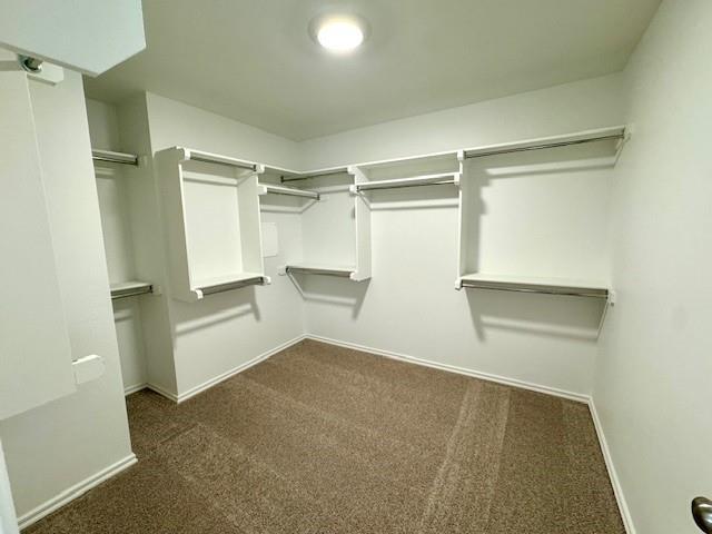 Building Photo - 3134 Mt Nebo Dr