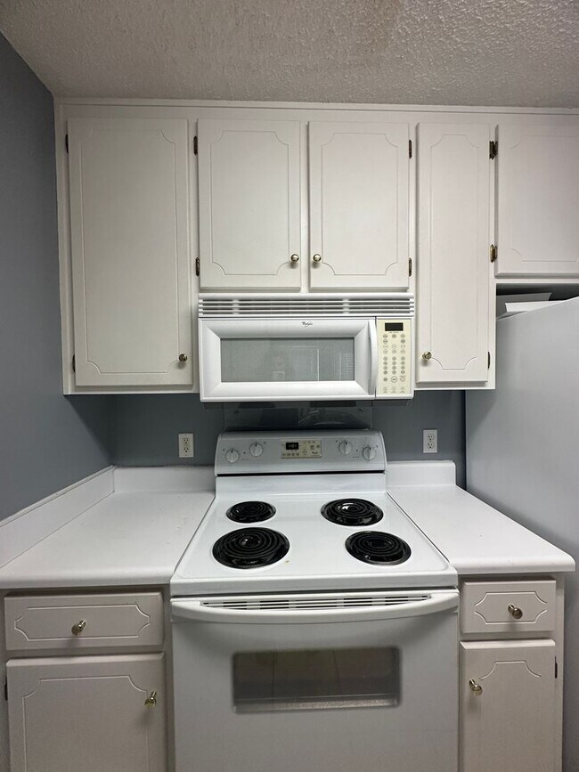 Building Photo - 105 S Spring View Dr