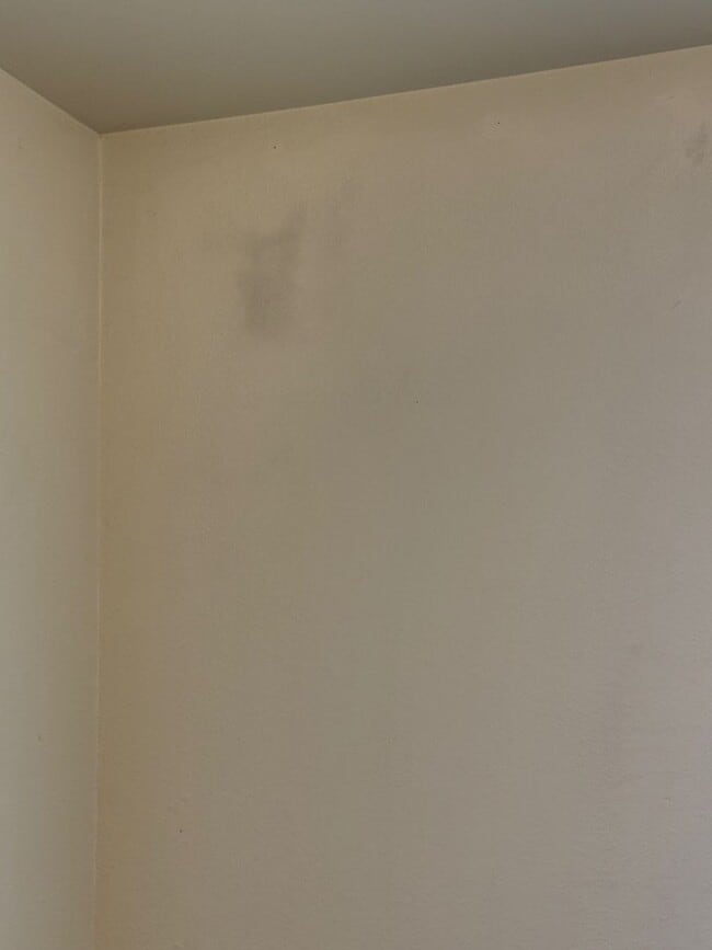 Building Photo - Great location for MSU and downtown.