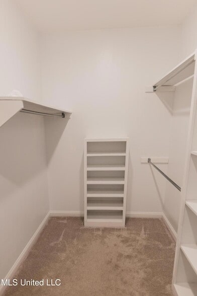 Building Photo - 110 Little John Ln