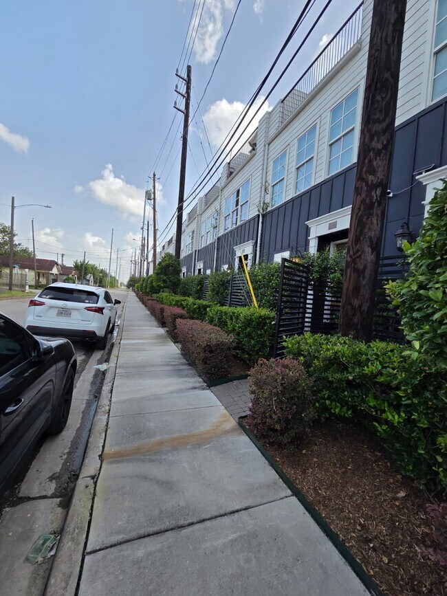 Building Photo - 815 Bringhurst St
