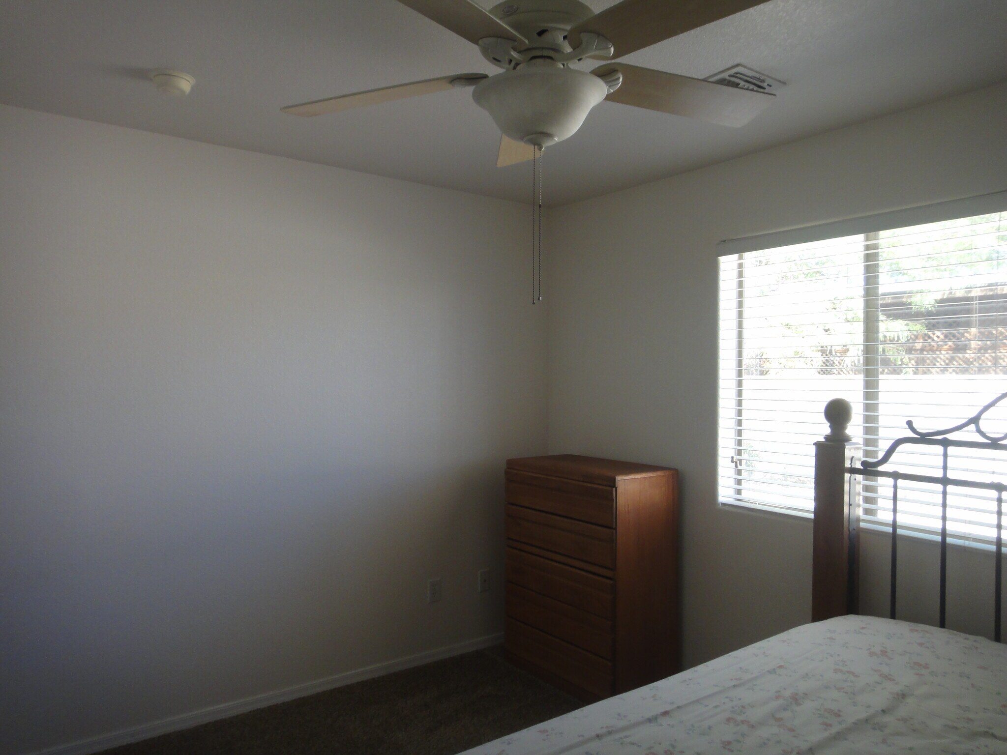 Building Photo - 3894 Bluegrass Ct