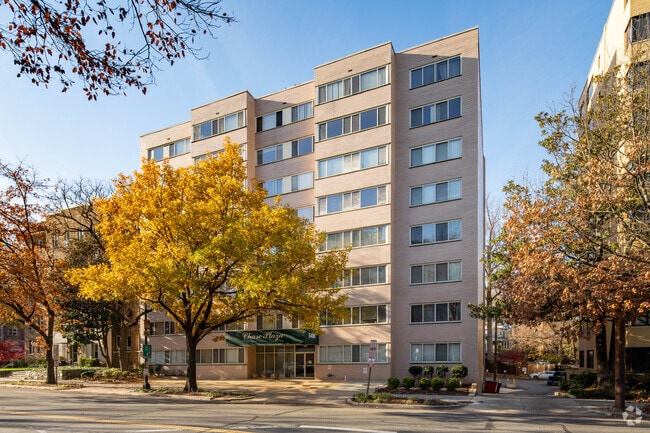Primary Photo - Chase Plaza Apartments