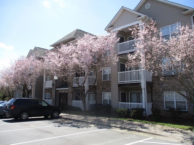 Primary Photo - Beautiful 2 bedroom, 2 bath condo for rent!