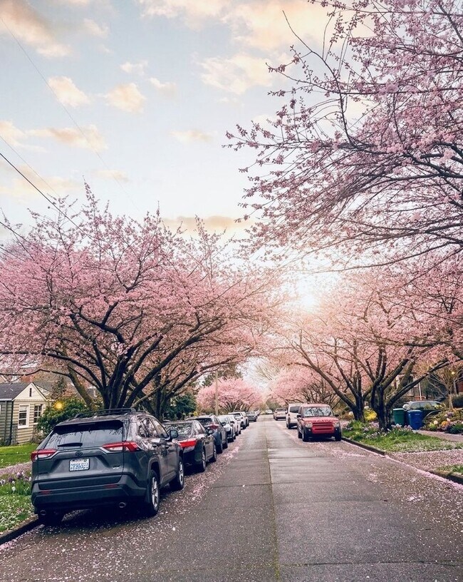 Building Photo - Stunning 3bed/3.5bath Brick Home in Ballard!