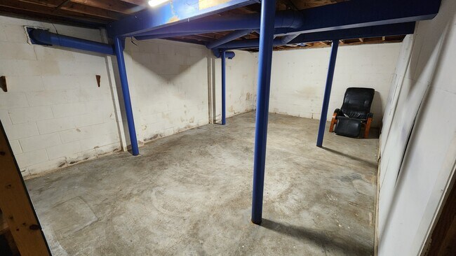 Extensive Storage Area in basement - 703 Harding Ave