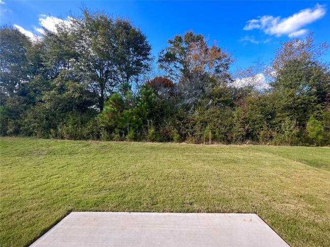 Building Photo - 1529 Hay Patch Ln