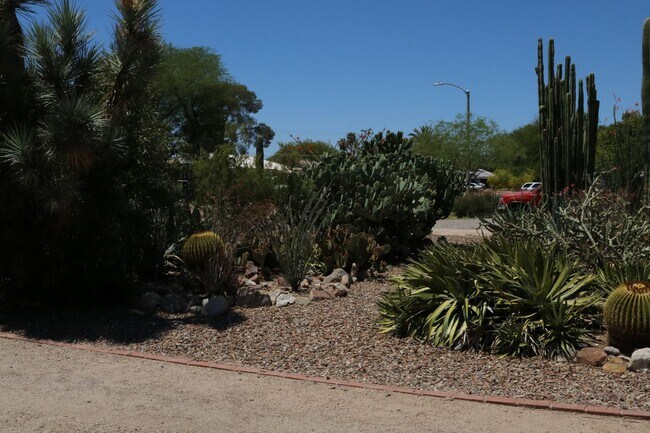 Building Photo - Two bedroom one bath fully furnished located in central Tucson!