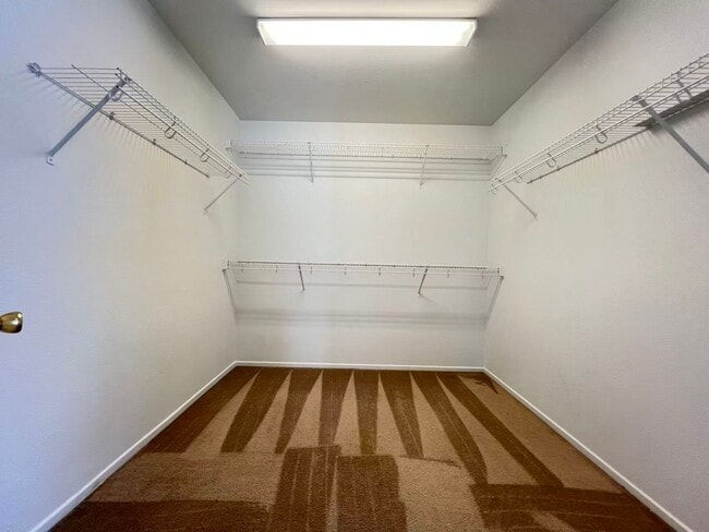 Building Photo - 11682 Terenzio Ct
