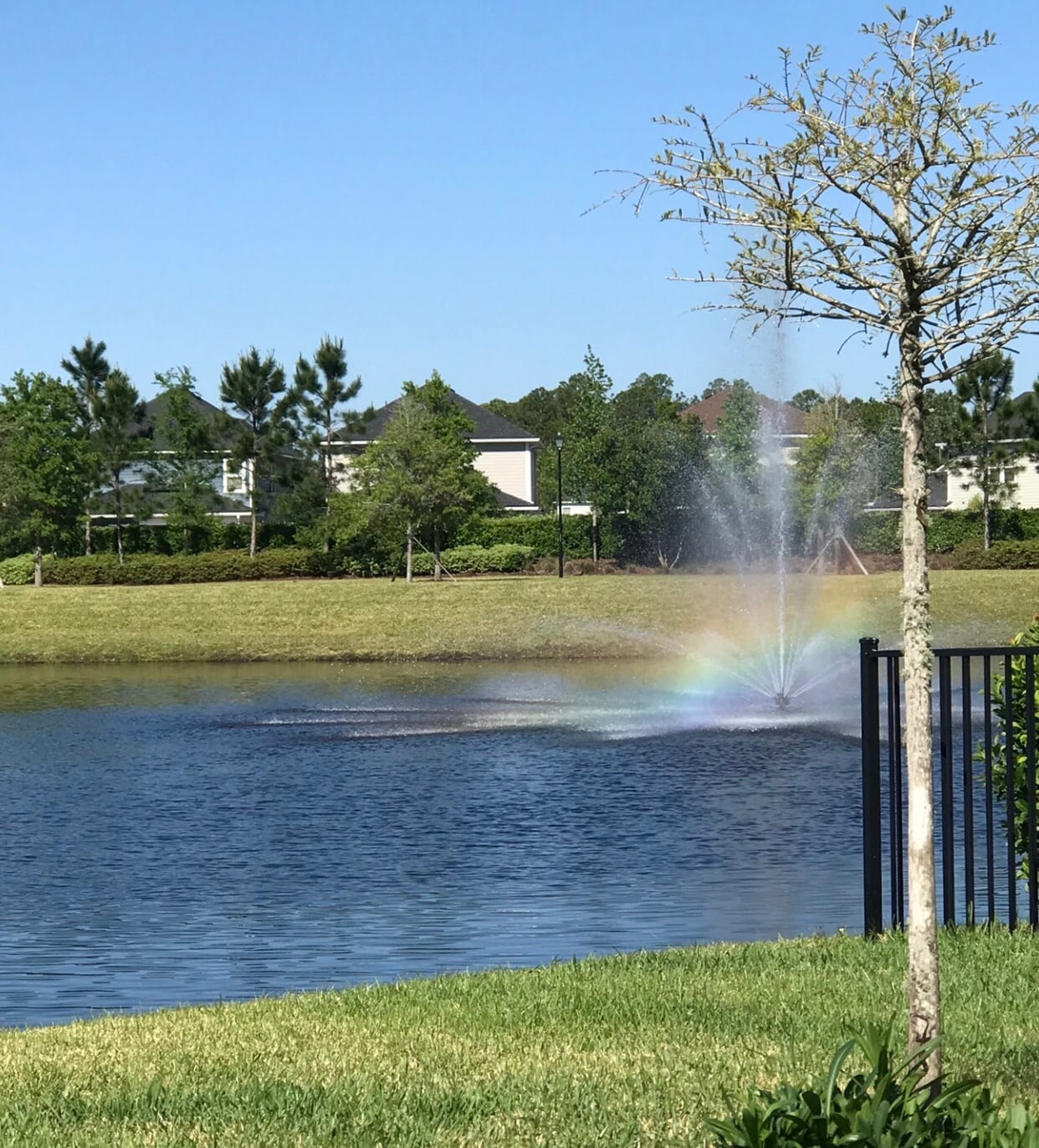 RAINBOWS - 250 Convex Ln