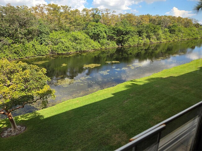 Building Photo - 2660 Carambola Cir N