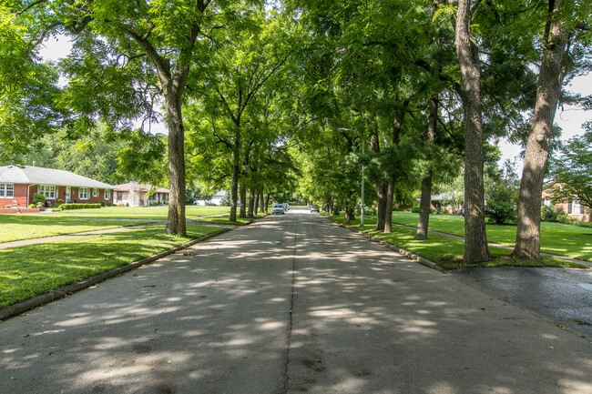 Tree lined street - 2057 Fallon Rd