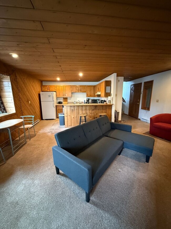 Building Photo - 1BD/1BA Steamboat Mountain Furnished Winte...