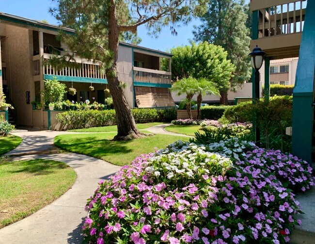 Daisy Apartments 12671 Main St Garden Grove CA 92840 Apartment Finder