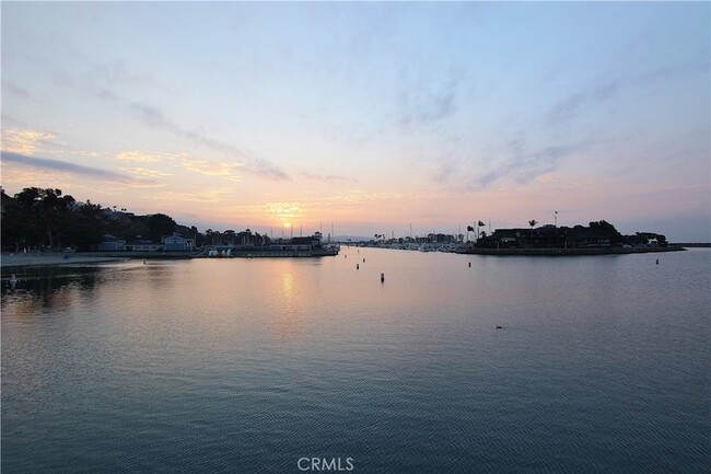 Building Photo - 33542 Street of the Blue Lantern